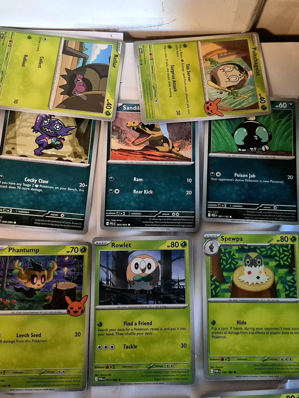 Pokémon mega kangaskhan